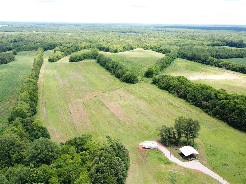 Washington Creek Farm : Marion : Perry County : Alabama