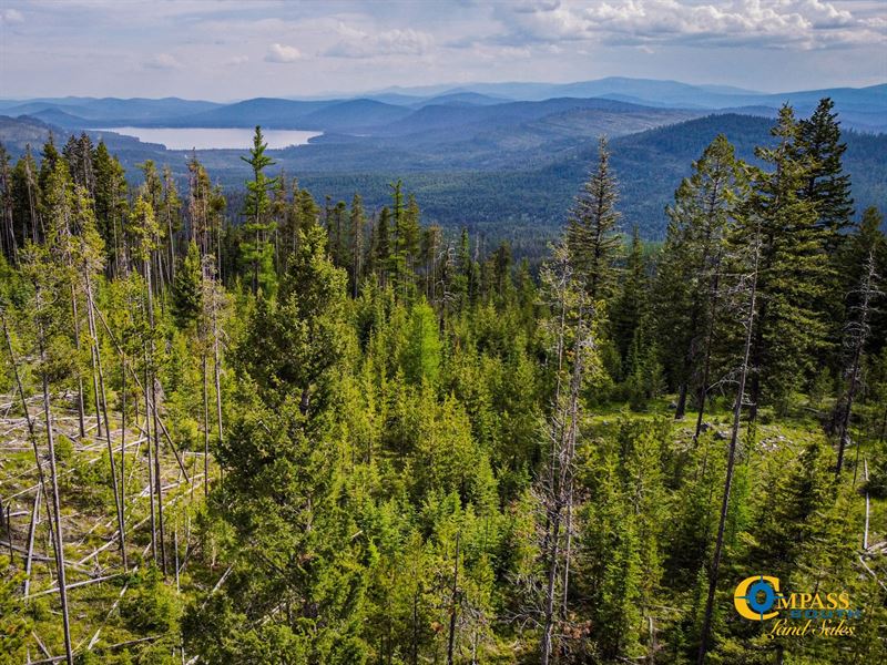 East Side Griffin Tract : Marion : Flathead County : Montana