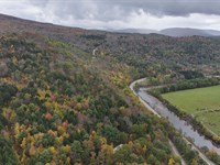 Private Mature Catskills Woods : Prattsville : Greene County : New York