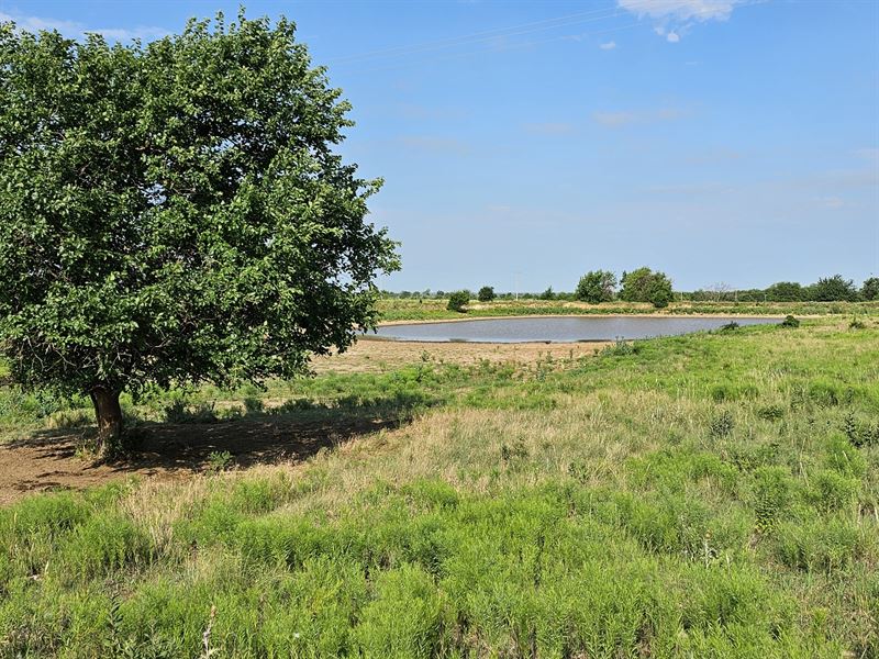 Butler County Development Pasture : El Dorado : Butler County : Kansas