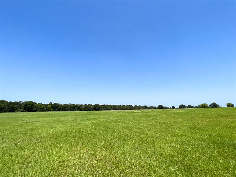 23 Acres, T-3 County Road 3625 : Lovelady : Houston County : Texas