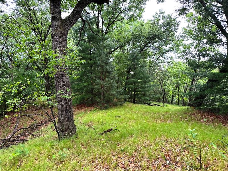 Prairie Land Delight : Spring Green : Sauk County : Wisconsin