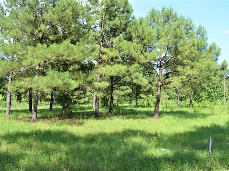 5 Acres for Sale in Fernwood Cou : McComb : Pike County : Mississippi