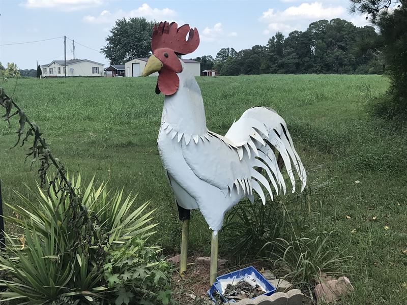 Tyson Chicken Breeder Farm : Hope : Hempstead County : Arkansas