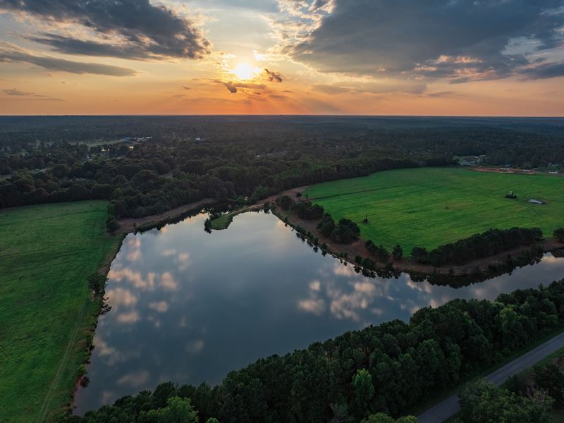 Beautiful Mini Farm Subdivision : Griffin : Spalding County : Georgia