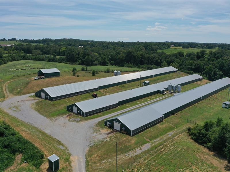 Reduced, Parker Farm : Boaz : Etowah County : Alabama