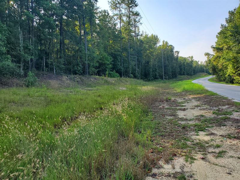 Beautiful Wooded Lot Near Auburn : Auburn : Lee County : Alabama