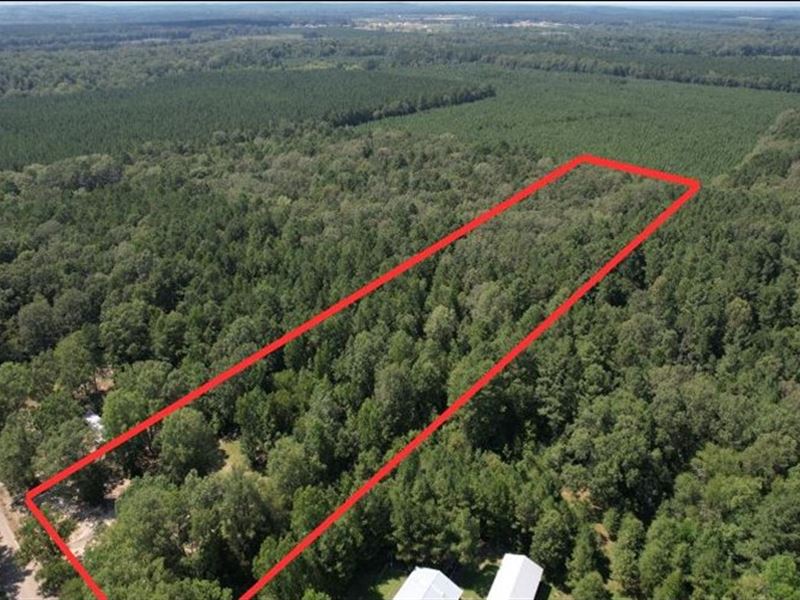 7.38 Acres in Rankin County in Pela : Pelahatchie : Rankin County : Mississippi