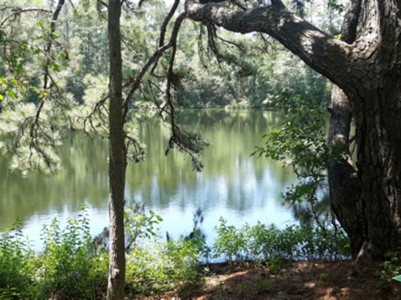 29.5 Ac, Home Site Tract with Pond : Corrigan : Polk County : Texas