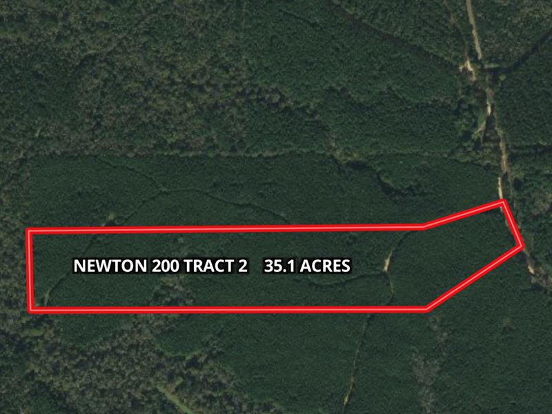 35+/- Ac Hunting Tract : Decatur : Newton County : Mississippi