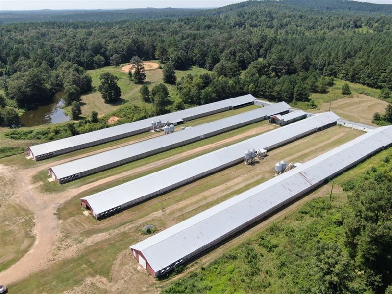 New Price, Estes Breeder Farm : Noxapater : Winston County : Mississippi