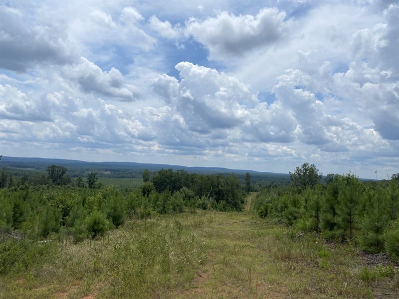 Scenic Heights Tract, Farm for Sale in Georgia, #356879 : FARMFLIP