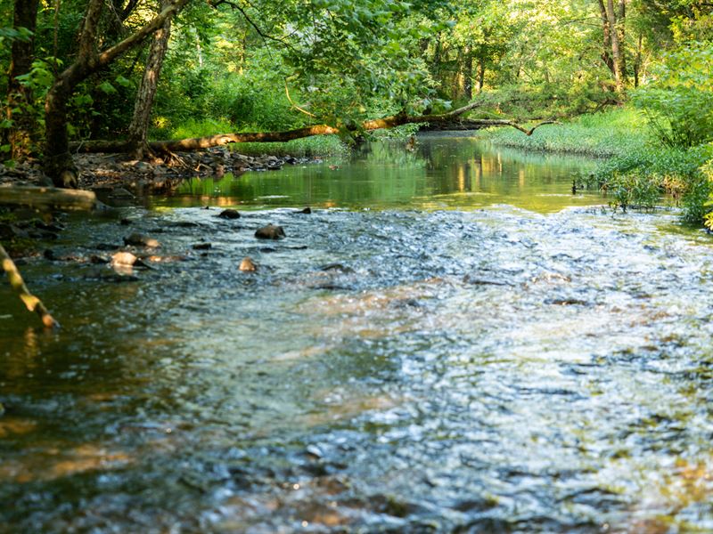 Hinkle Lake 215 : Waldron : Scott County : Arkansas