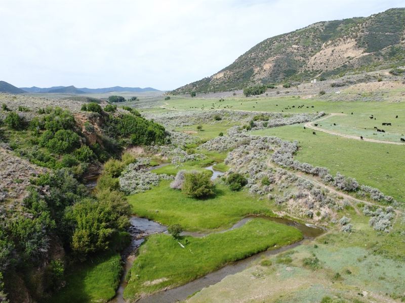 Ranch on Morapos Creek : Hamilton : Moffat County : Colorado