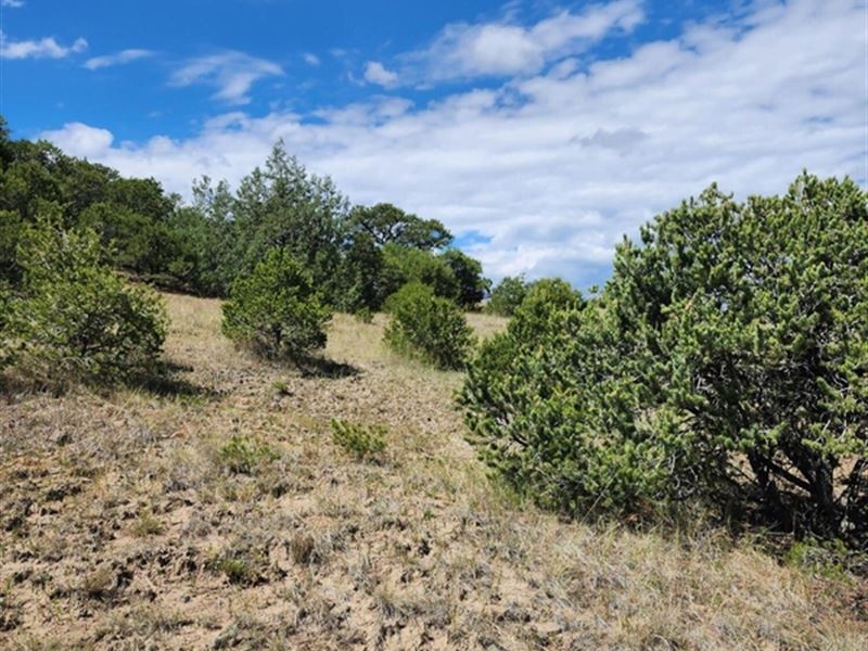 Pinion Ridge Drive, Aguilar, Co : Aguilar : Las Animas County : Colorado