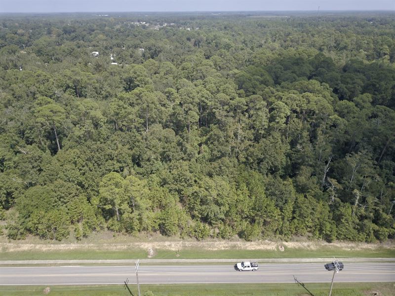 20.64 Ac Robertsdale Baldwin Co : Robertsdale : Baldwin County : Alabama