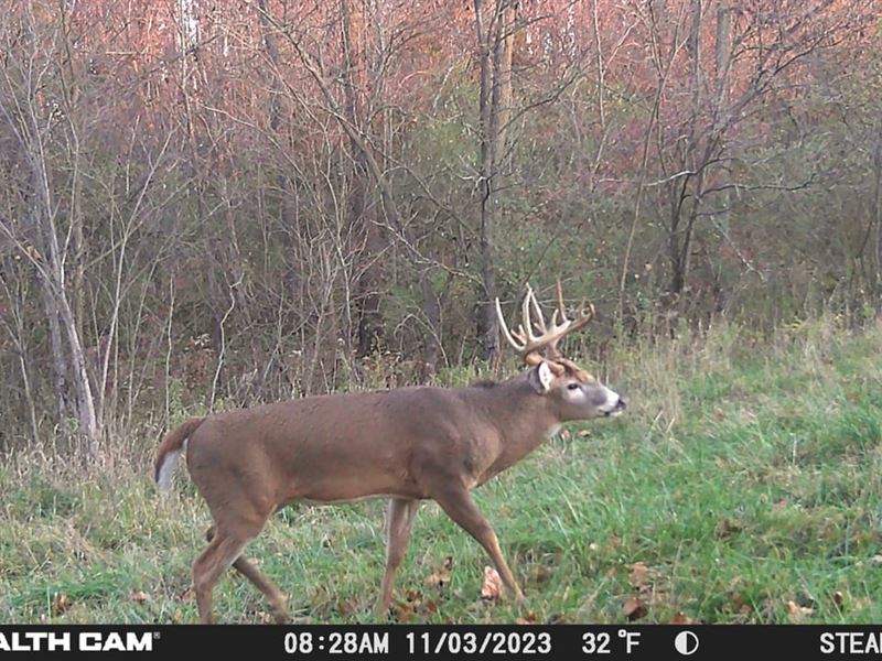 37 Acres / Andrews, in / Huntin : Andrews : Huntington County : Indiana