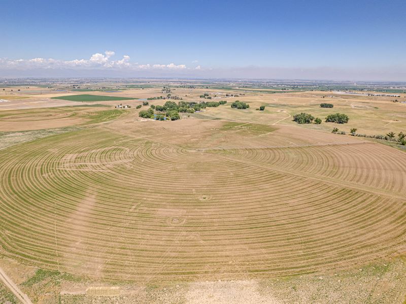 Platteville Farms 40 Acre Tracts : Platteville : Weld County : Colorado