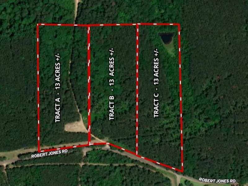 13 Acres in Summit, Mississippi : Summit : Pike County : Mississippi