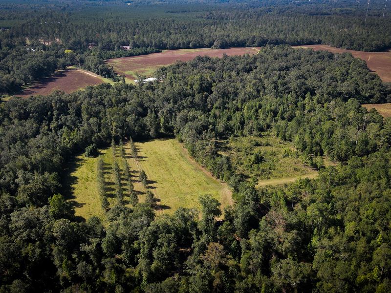 White Oak Farms 750 Ac Randolph : Cuthbert : Randolph County : Georgia