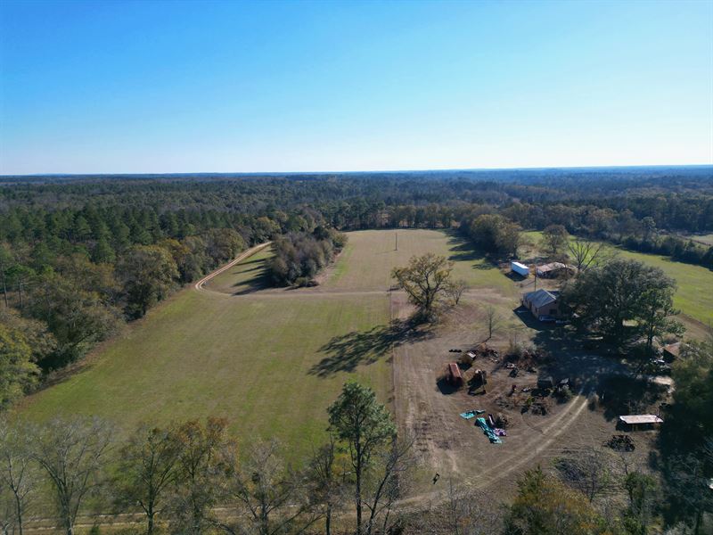 Secluded Cattle Farm Holmes County : Bonifay : Holmes County : Florida