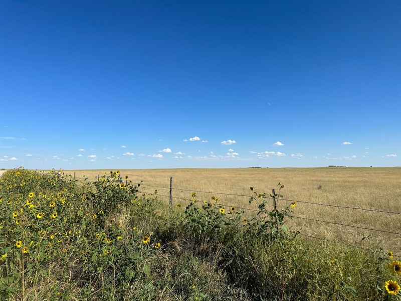 158.80 Acres in Rush, Colorado : Rush : El Paso County : Colorado