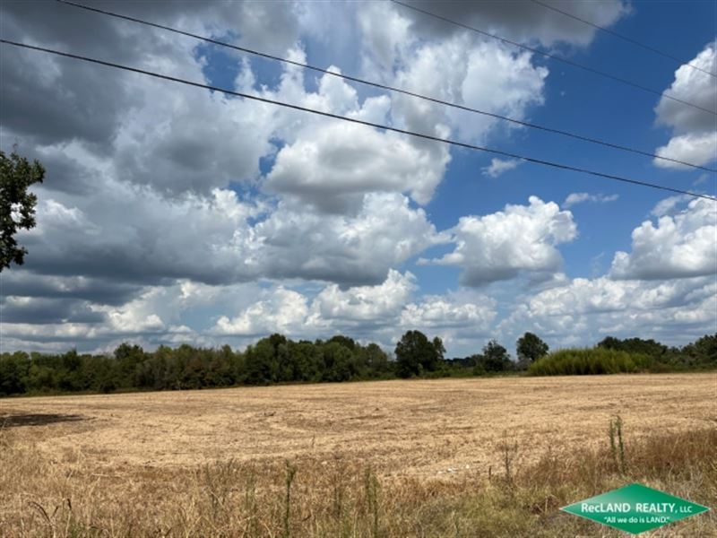 57 Acres, Farm & Hunting : Crowville : Franklin Parish : Louisiana