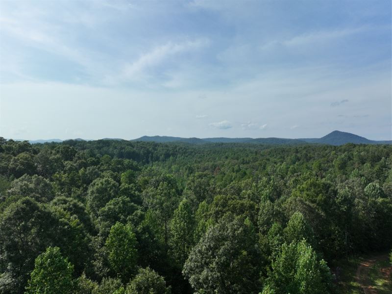 Wooded Acreage : Westminster : Oconee County : South Carolina