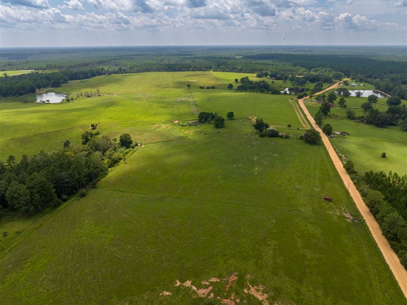 203 Acre Cattle Farm : Fitzgerald : Ben Hill County : Georgia