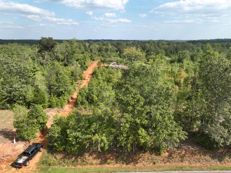 Wooded Acreage : Abbeville : Abbeville County : South Carolina