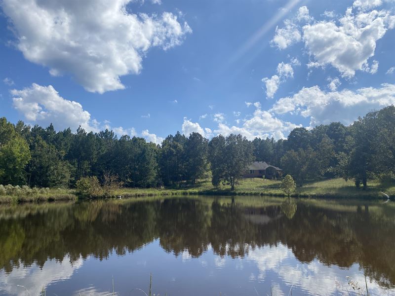 Lakefront Estate, Timber, Hunting : Selmer : McNairy County : Tennessee