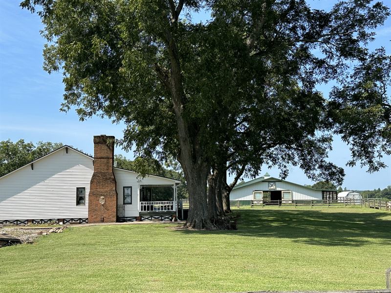 Briarcreek Horse Farm : Covington : Newton County : Georgia