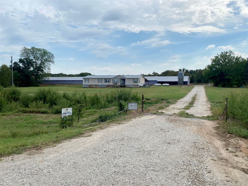 Poultry Farm for Sale MT Vernon, TX : Mount Vernon : Franklin County : Texas