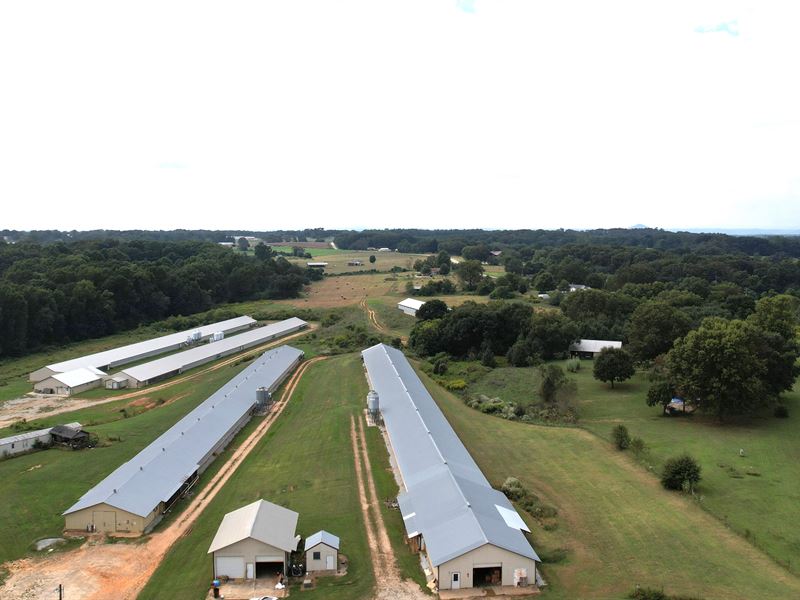 Poultry Breeder Farm, Packer System : Martin : Franklin County : Georgia