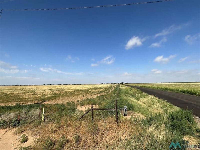 Eastern NM Small Farm on Pavement : Texico : Curry County : New Mexico