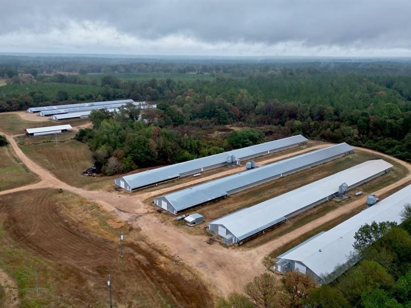 Turnkey 7 House Poultry Broiler Far : Wesson : Copiah County : Mississippi