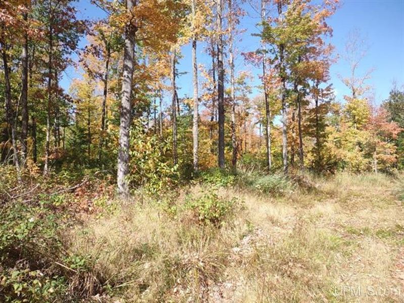 Michigan Wooded 40 Acres : Pelkie : Baraga County : Michigan