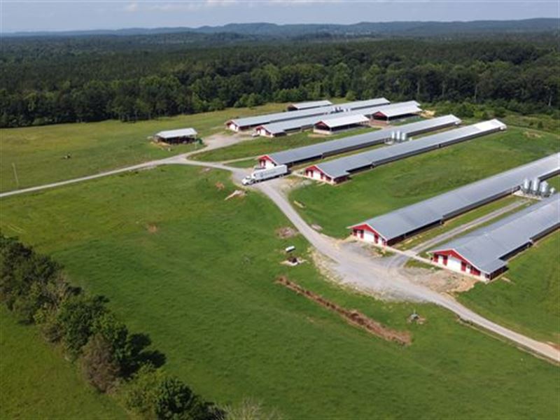 Nice 8 House Breeder Poultry Farm : Old Fort : Bradley County : Tennessee