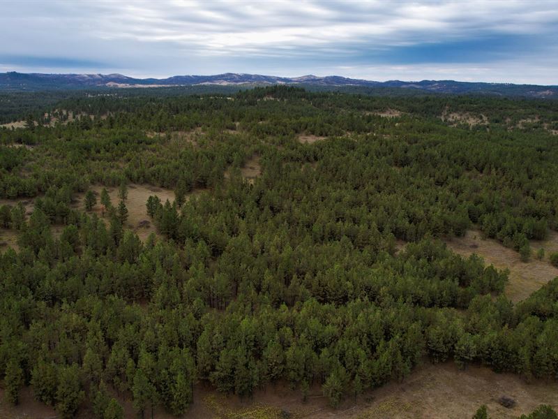 The Red Arrow Ranch : Roundup : Musselshell County : Montana