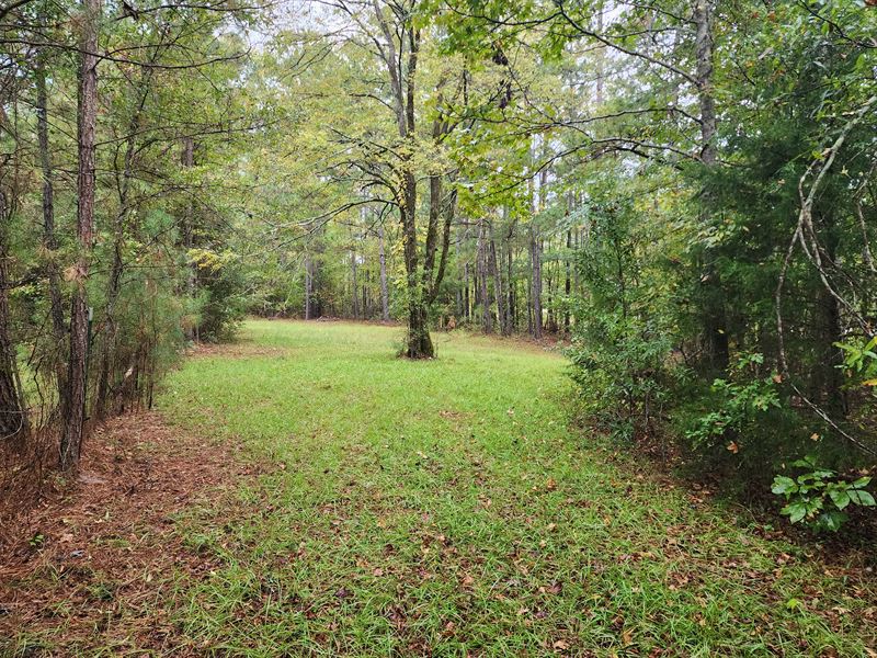 Country Residential Lots : Hamilton : Harris County : Georgia