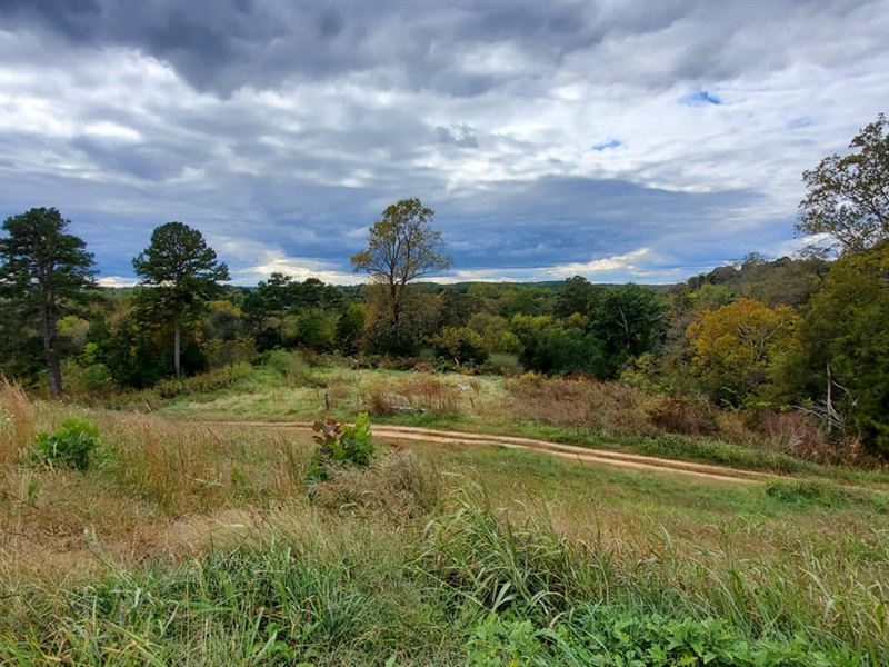 46.64 Acres 327 Lundy Rd, Statesvi : Statesville : Iredell County : North Carolina