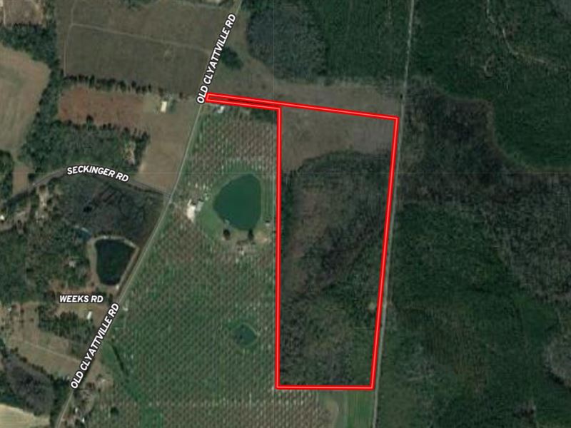 80 Acres Vacant Land, Farm Auction in Georgia, #361557 : FARMFLIP