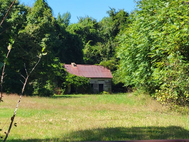 29.7 Acres in Halifax County, VA, Farm for Sale by Owner in Virginia