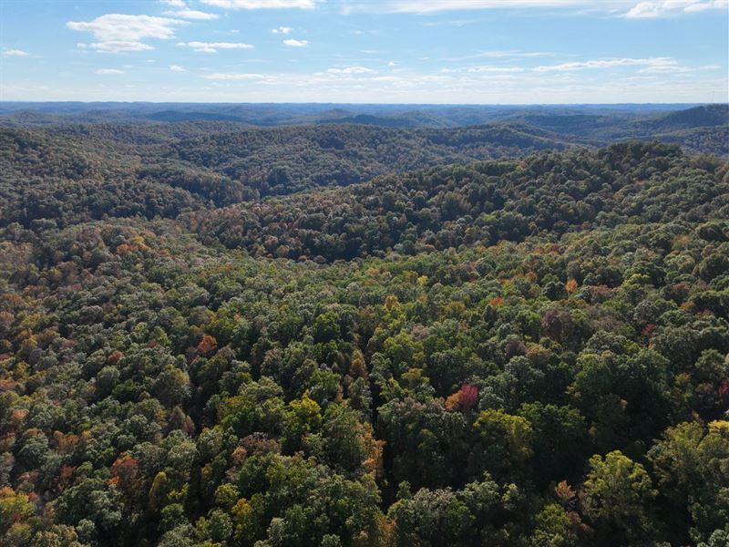 58 Acres in Roane County, WV : Newton : Roane County : West Virginia