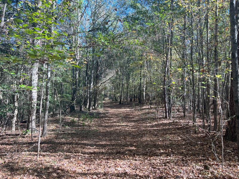 Belton Highway Land : Anderson : Anderson County : South Carolina