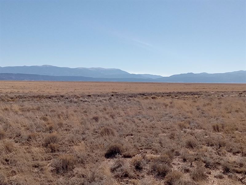 5 Acres of Pure Freedom Await You : San Luis : Costilla County : Colorado