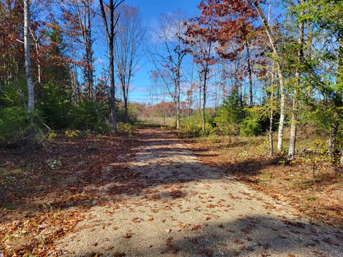 Michigan Farms for Sale Over 5 Acres, Under $200K : Page 2 of 2 : FARMFLIP