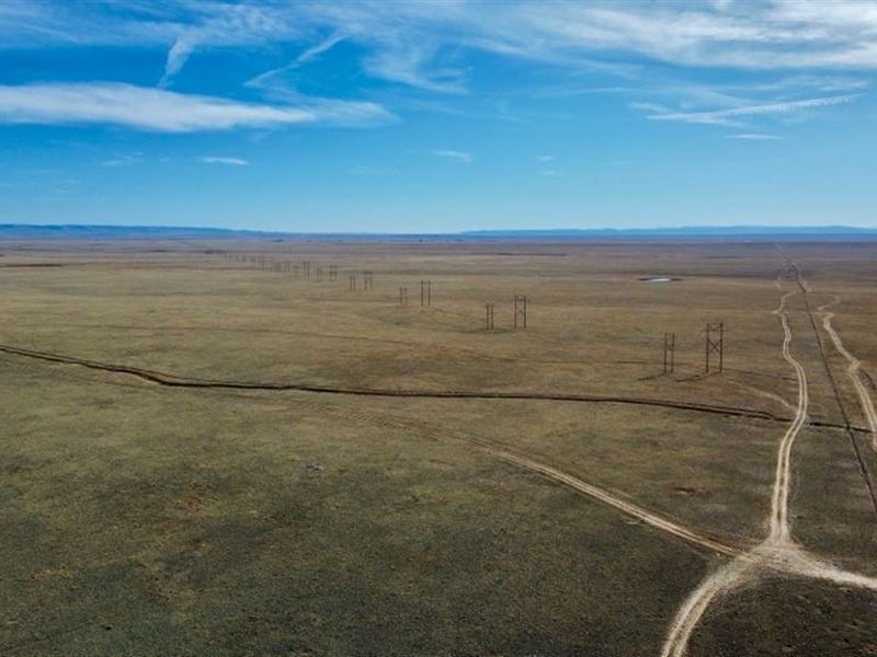 North Laramie Grasslands : Laramie : Albany County : Wyoming