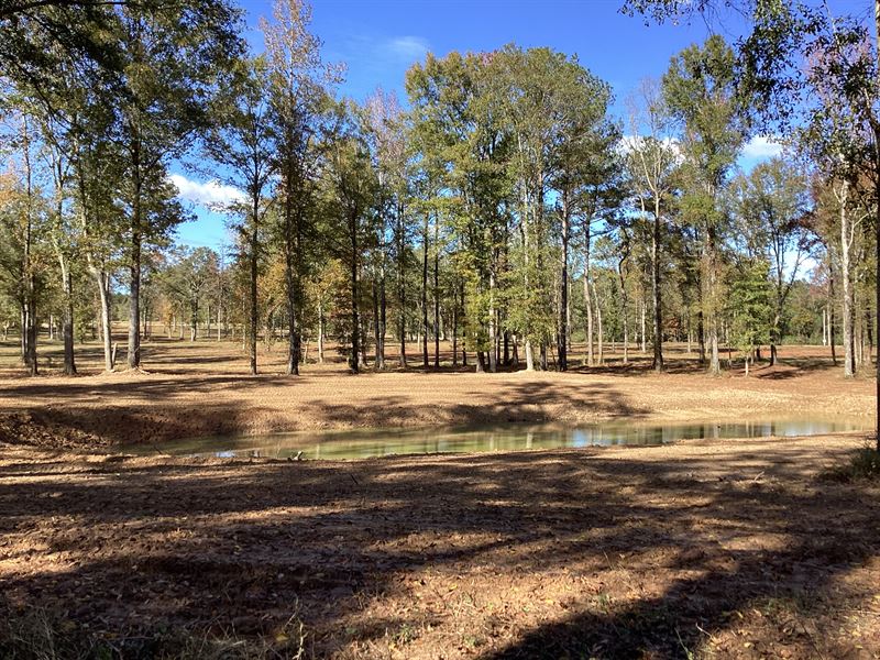 Hwy 10 Lot with Pond : Greenville : Butler County : Alabama