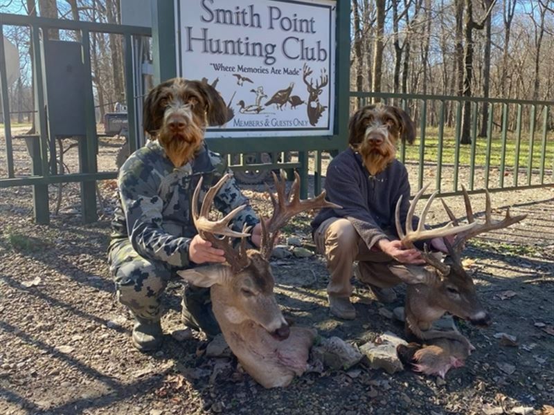 Smith Point Hunting Club Equity Sha : Gunnison : Bolivar County : Mississippi